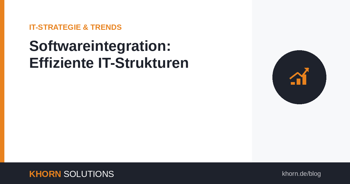 Softwareintegration: Der Schlüssel zu effizienten IT-Strukturen